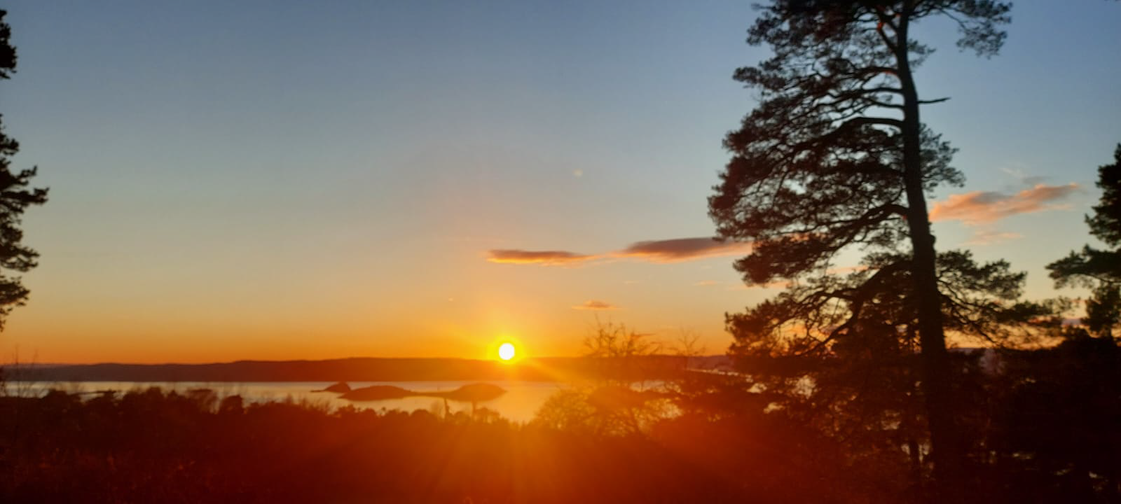 Sunset over a lake in a forest