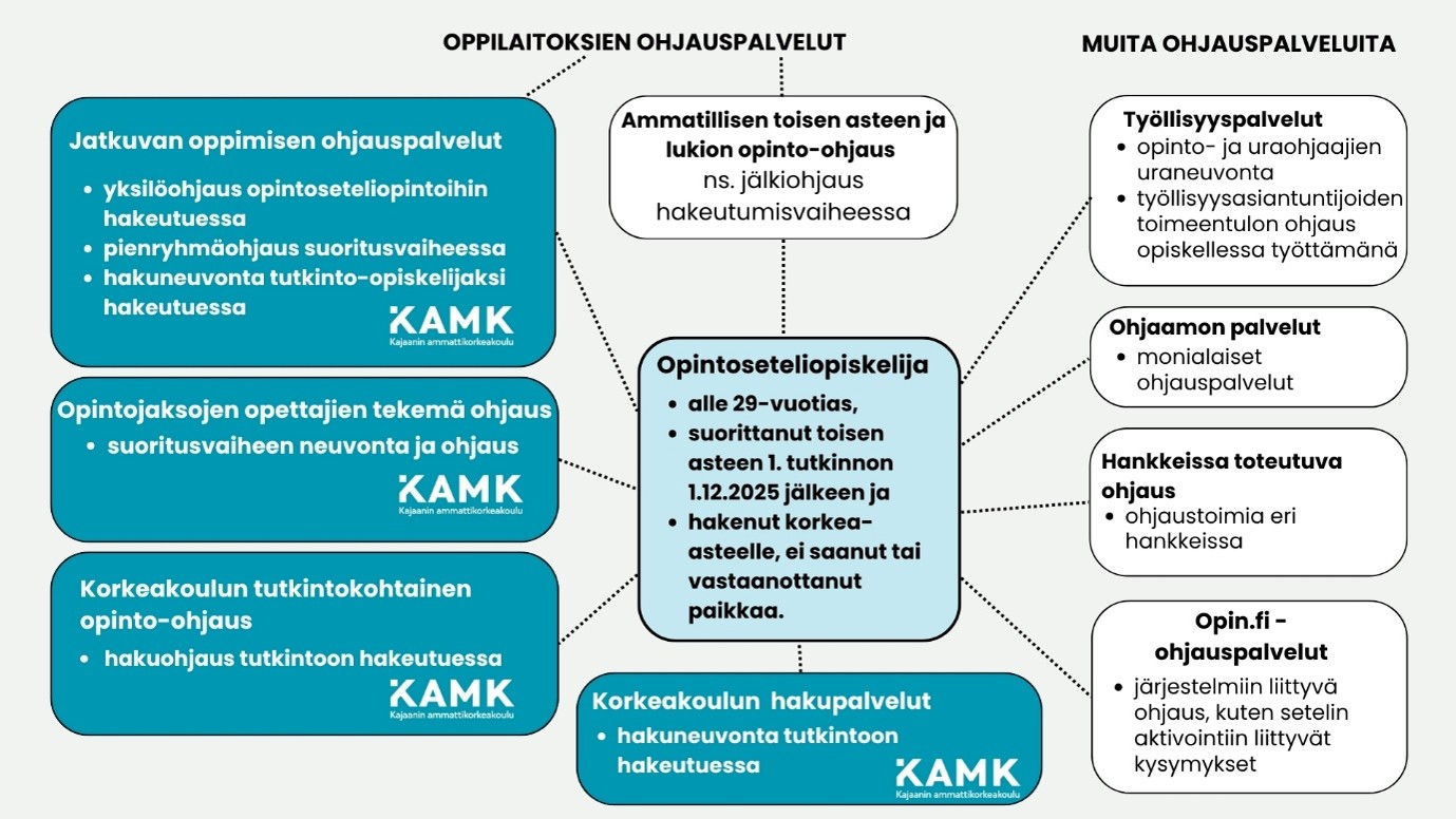 Infograafi opintoseteliopiskelijan ohjauspalveluista. Keskellä määritelmä opintosete-liopiskelijasta (alle 29 vuotias, toisen asteen suorittanut ja ilman korkeakoulupaikkaa). Ympärillä kuvataan oppilaitosten ohjauspalvelut (KAMK: jatkuva oppiminen, opinto-ohjaus, opettajien ohjaus ja hakupalvelut) sekä muut ohjauspalvelut (työllisyyspalve-lut, Ohjaamo, hankkeet ja Opin.fi). Kaikki palvelut on yhdistetty opiskelijaan katkovii-voilla.