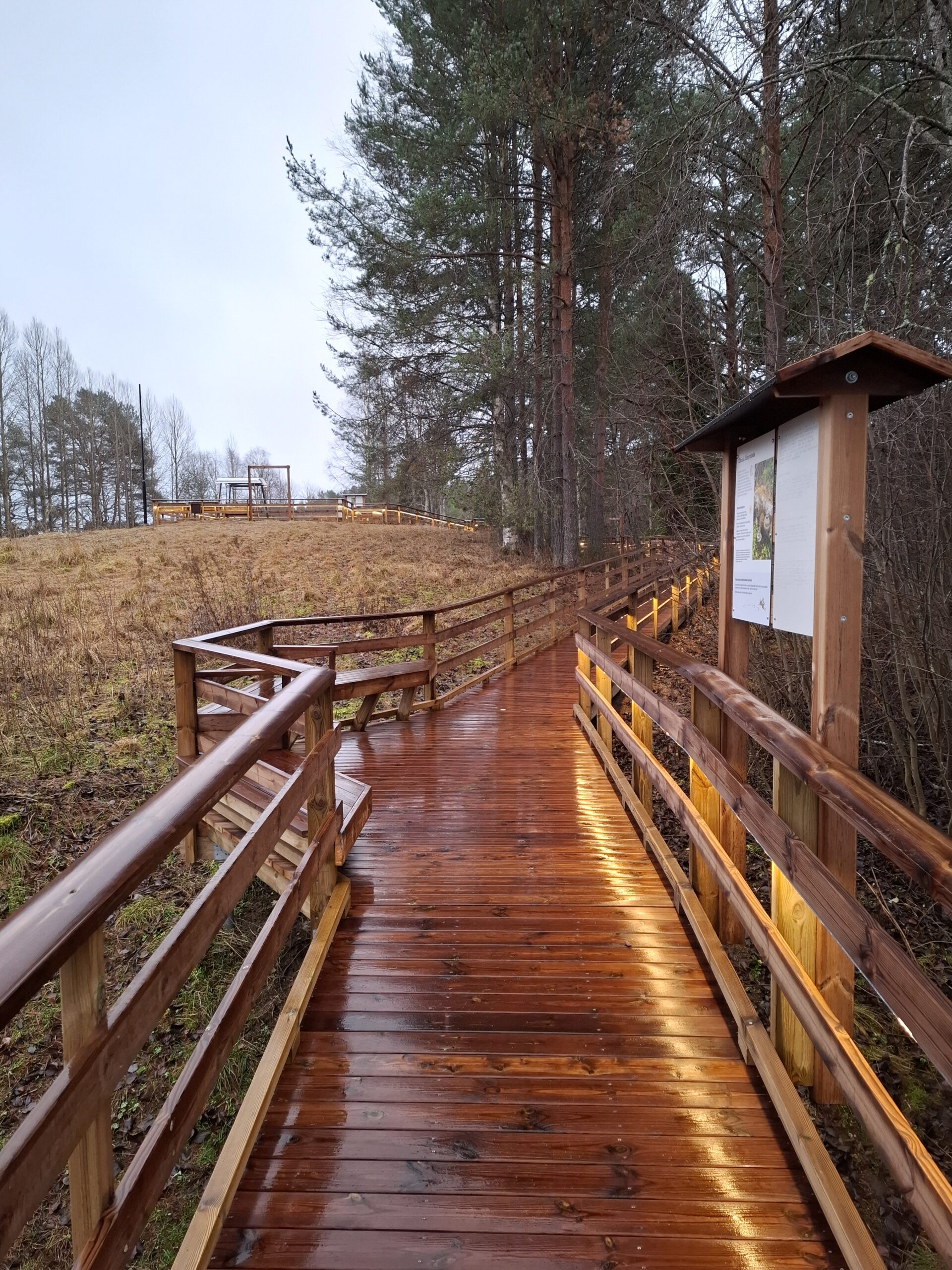 Sotkamon Syntiniemen luontovirkistysalueella kostea puinen kulkusilta kaartuu metsän reunassa ylöspäin kohti levähdyspaikkaa; oikealla on opastekyltti ja ympärillä mäntymetsä pilvisessä säässä.