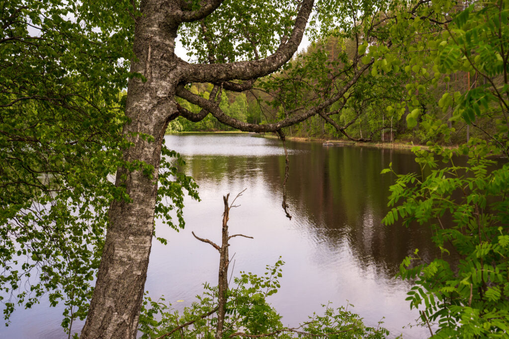 Järvimaisema